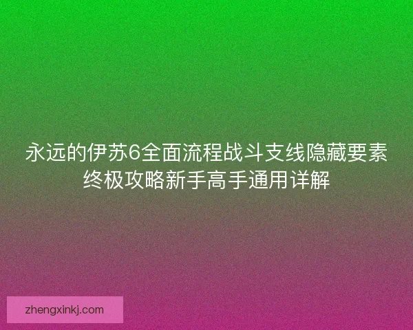 永远的伊苏6全面流程战斗支线隐藏要素终极攻略新手高手通用详解