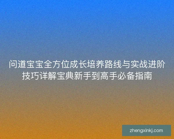 问道宝宝全方位成长培养路线与实战进阶技巧详解宝典新手到高手必备指南
